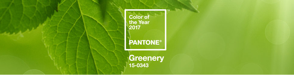 PANTONE COLOR OF THE YEAR 2017 - Greenery 15-0343
