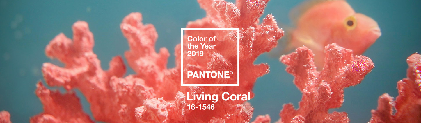 Pantone Color of the Year 2019 Living Coral & Steve
