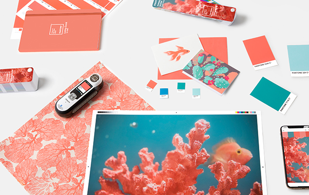 Pantone Color of the Year 2019 Living Coral in Graphic and Packaging Design