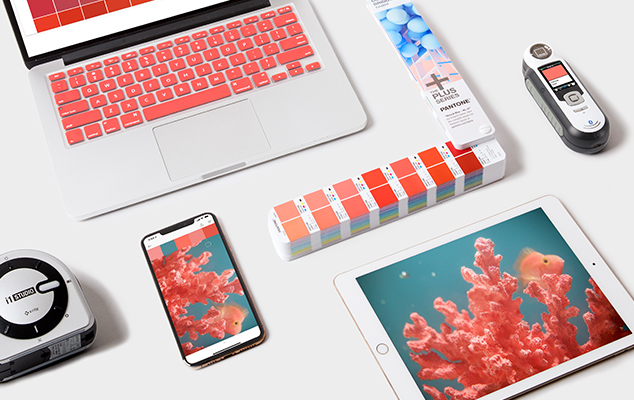 Pantone Color of the Year 2019 Living Coral in Social Media